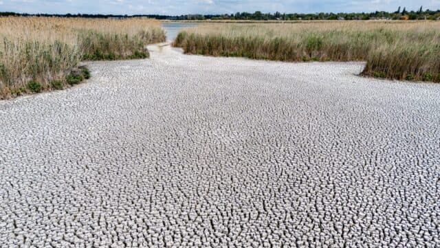 ’Magical material’: How Europe’s drought-struck islands could soon harvest water from dry air