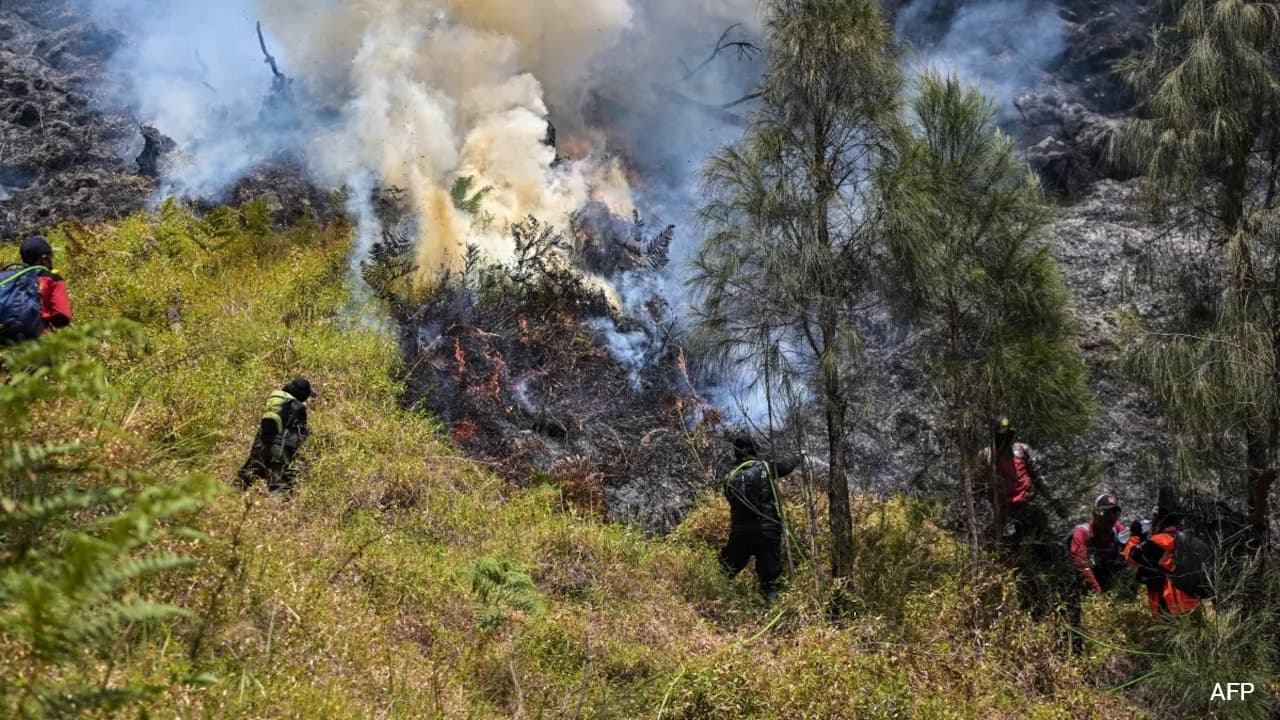 Indonesia closes national park in East Java as wildfire expands