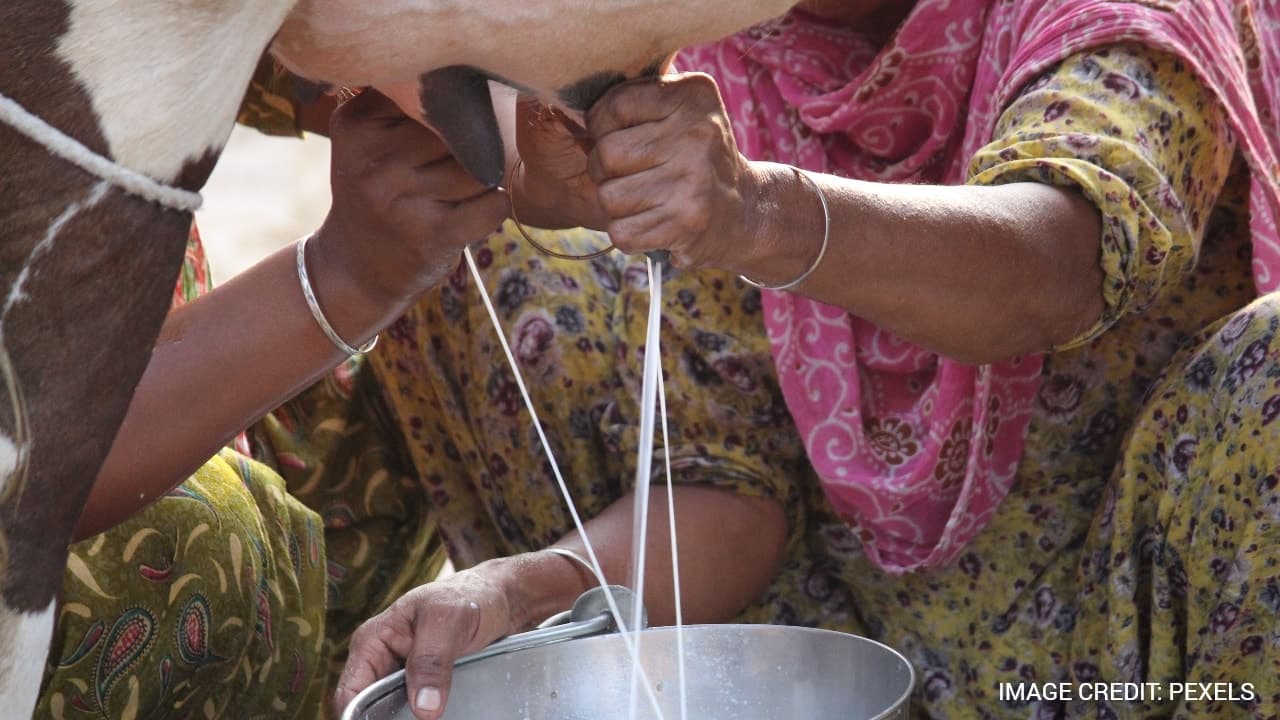 Milk Vita hikes prices by Tk 10 per litre