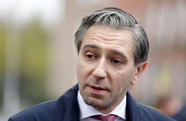 Simon Harris to represent EU at G20 meeting of finance ministers and bank governors in US