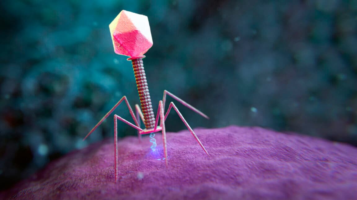 AI models design viruses not found in nature for first time