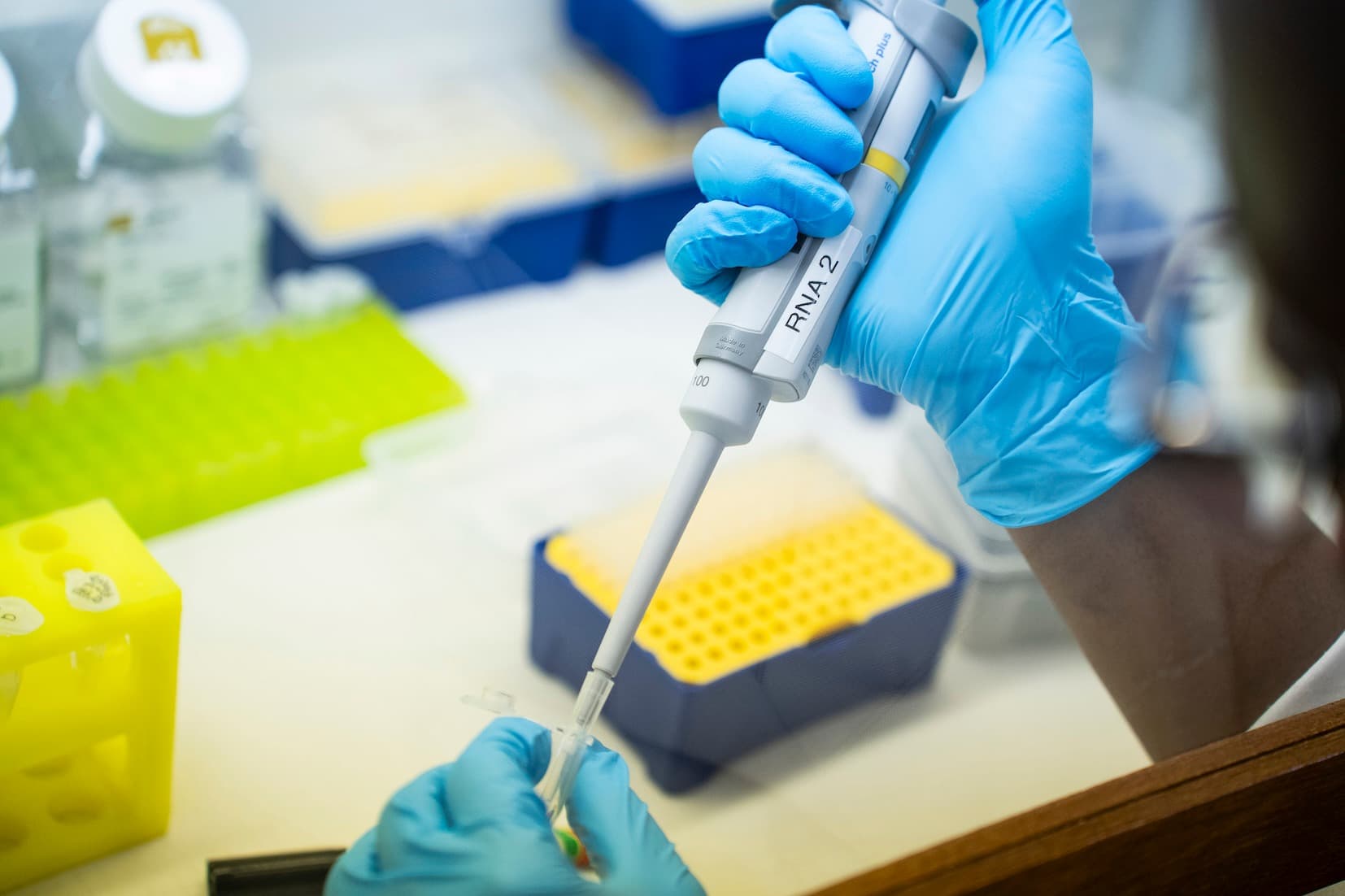 GROUNDUP: World’s largest biomedical research funder lifts ban on South Africa