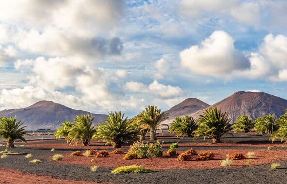 Crisis in Canary Islands as Lanzarote ‘extends emergency’ until 2027 - £5.5m invested