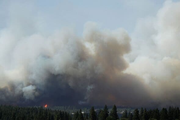 Washington wildfires: Emergency declared as 12 blazes burn and 60k people suffer blackout