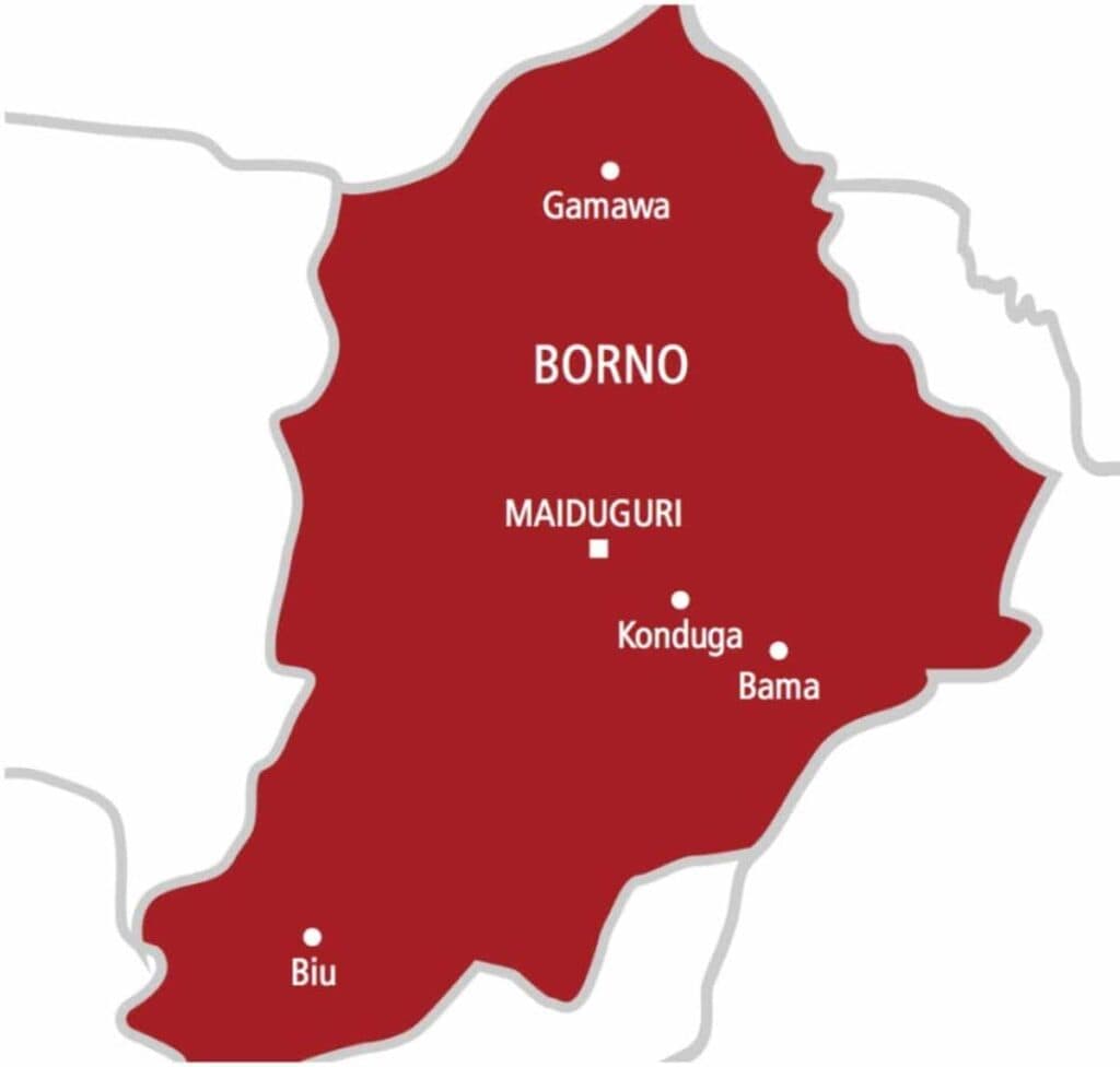 100 days in captivity: Borno families demand rescue of abducted children