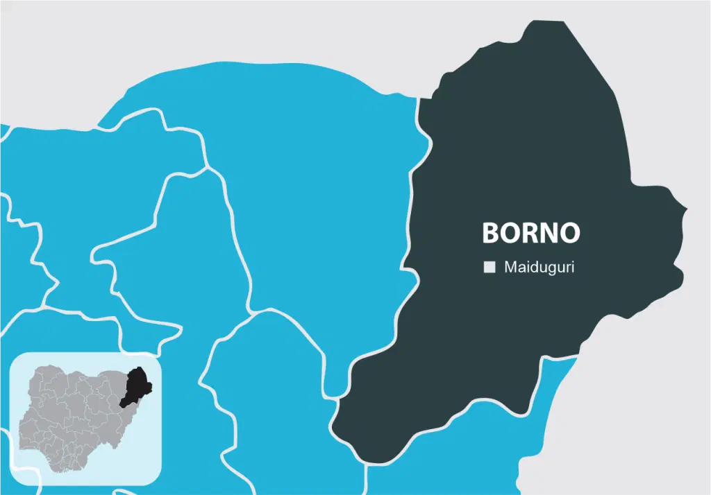 2027: Outrage over Borno commissioner’s threat to flog non-APC supporters