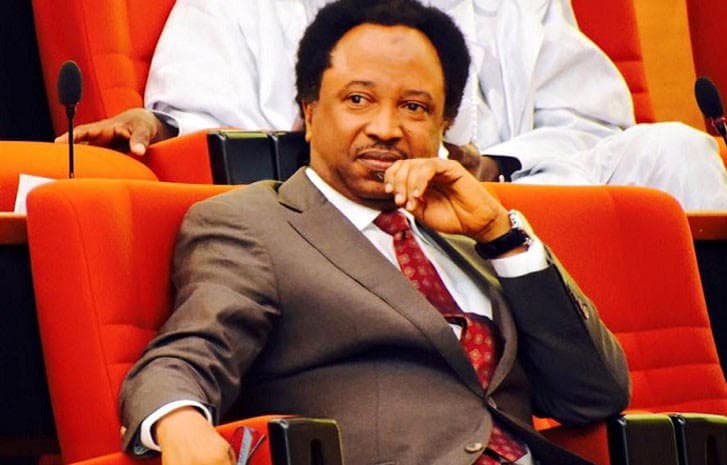 ‘Opposition wants Adeleke to be confrontational with Tinubu’ — Shehu Sani