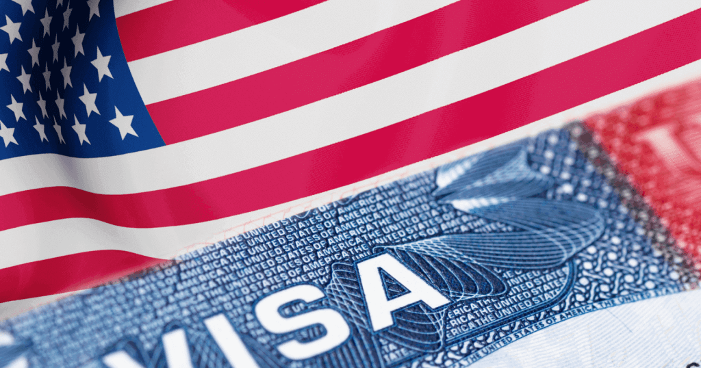 Use only official passport, visa websites, NIS tells Nigerians, foreigners