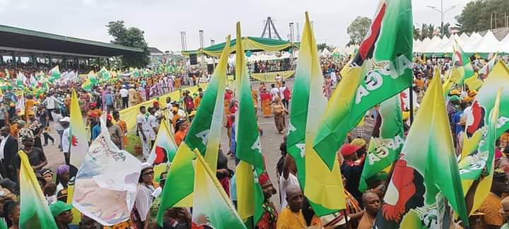 APGA wins all positions in Anambra council poll