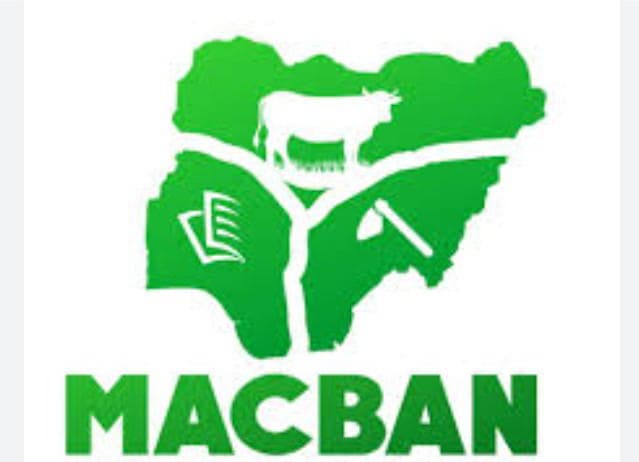 Two herders killed as gunmen raid Enugu cattle camp