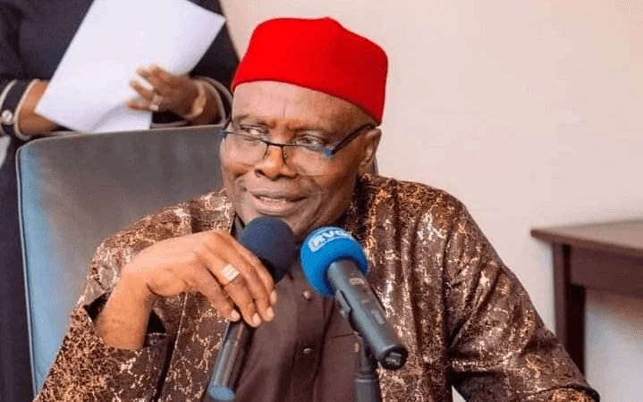 Adeleke’s victory may be APC smokescreen ahead of 2027 — Wabara