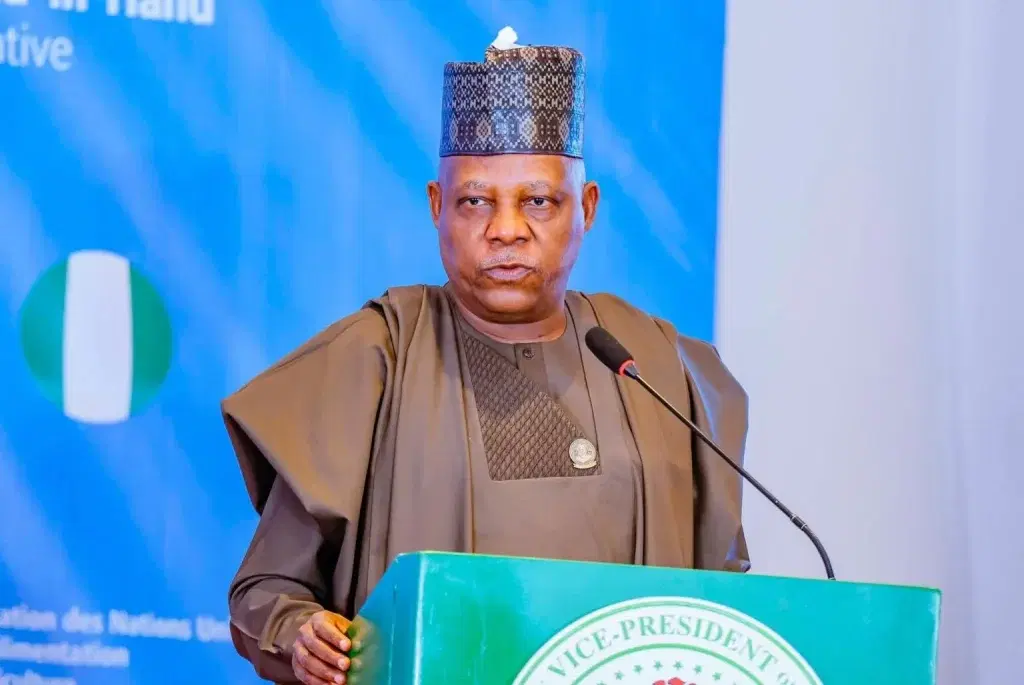 Criminals have no tribe, Shettima urges Plateau youth to reject hatred