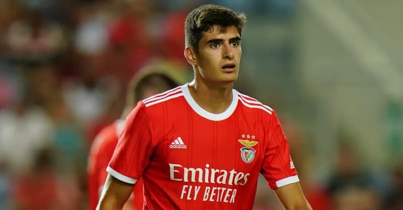 Bournemouth sign Portugal defender Silva for £25m from Benfica