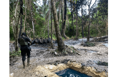 Nigeria: Navy Disrupts Three Illegal Refineries, Recovers 85,000 Litres in Rivers