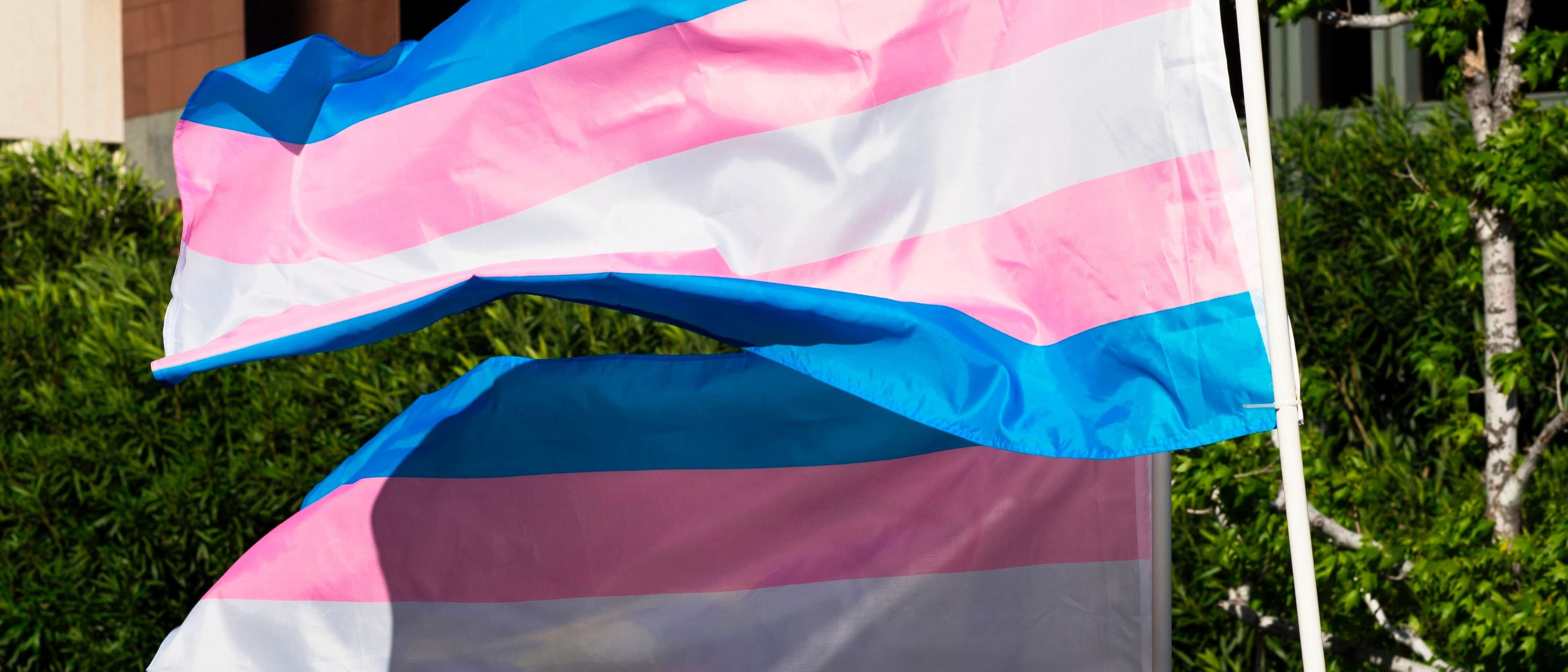 EXCLUSIVE: New Jersey School District Pushed ‘Secret Gender Transitions Behind Closed Doors,’ New Lawsuit Alleges