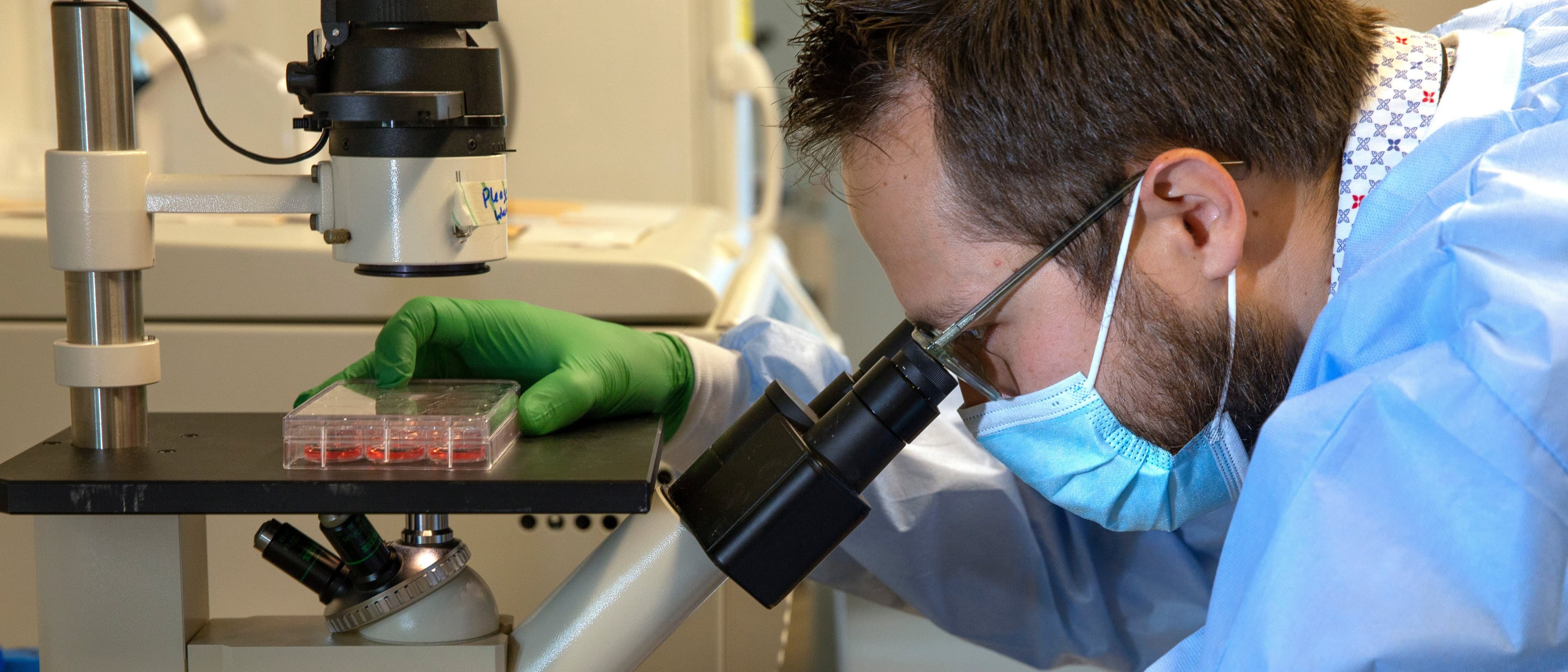 Scientists Raise Safety Concerns After AI Used To Design New Viruses