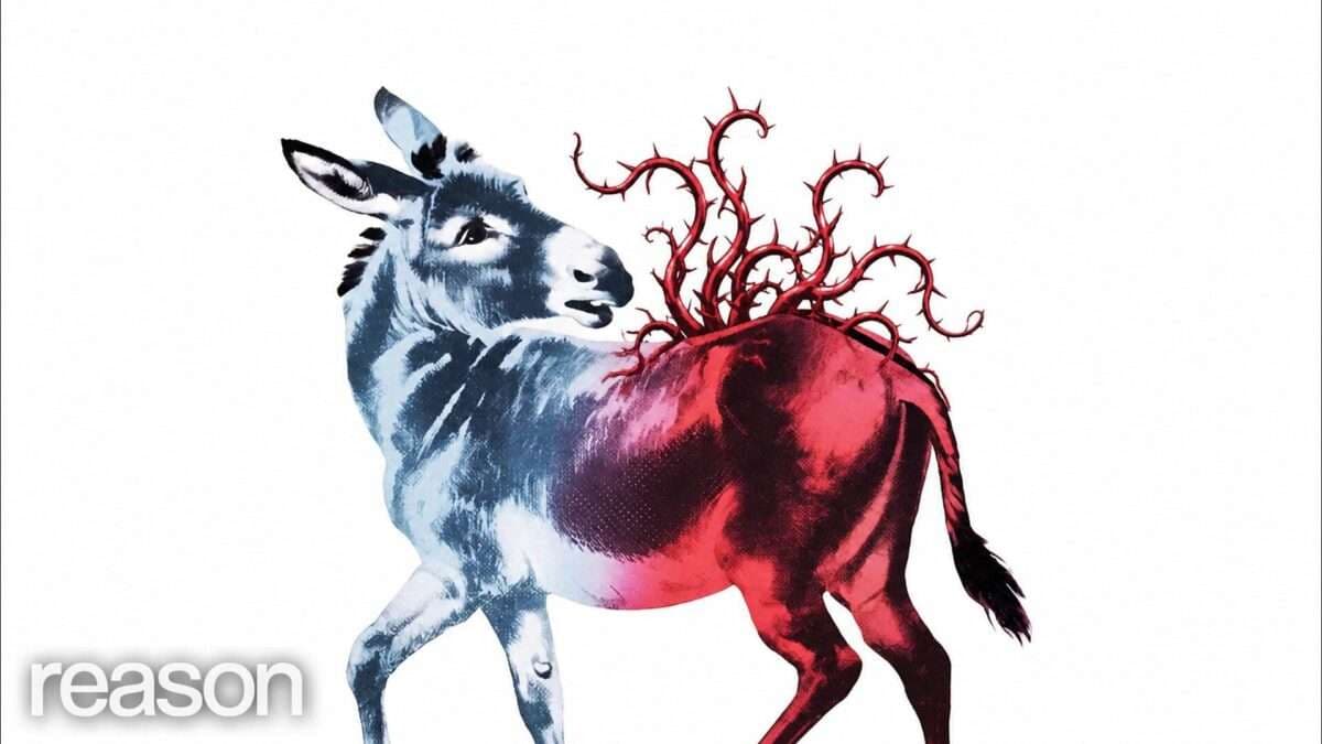 Socialists Are Trying To Take Hold of the Democratic Party—and They're Winning