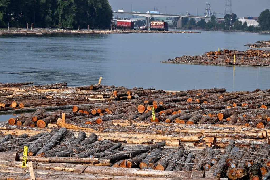 News Wrap: Trump pauses his 50% tariffs on Canadian imports