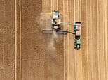 MINETTE BATTERS: What dustbowl Britain means for food supplies and the cost of your weekly shop