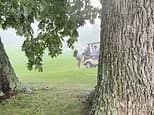 Golfer inadvertently films himself being struck by lightning on course during storm
