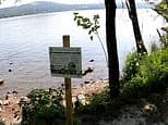 New warnings for Lake District tourists over toxic 'blue-green' algae that can kill dogs and make humans ill