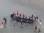 Violent migrants clash with police as they try to set sail for the UK from French coast