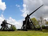 Skeleton with more than 160 fractures is first confirmed victim of a trebuchet