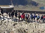 'There's a queue!': Moment hikers clash at top of Mount Snowdon as huge crowds wait in line to reach summit