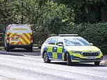 Probe launched after 'unexplained' death of child in Staffordshire woodland