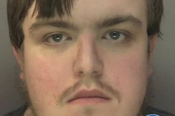 TikTok sex offender used fake gymnastic promotion to prey on young girls