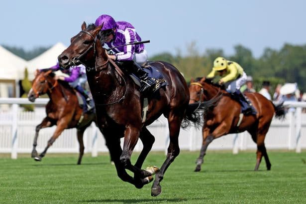 talkSPORT tips – Best bets and expert advice on Day 2 at Goodwood