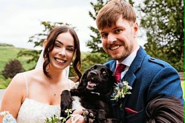 Couple spend entire wedding night searching for pet dog who disappeared during first dance
