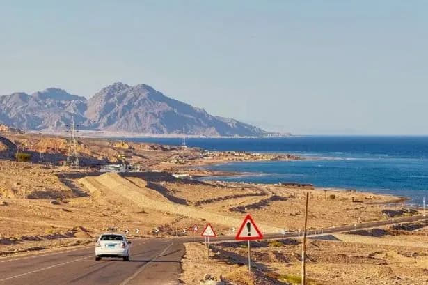 At least 16 people killed and dozens hurt in Egypt bus crash