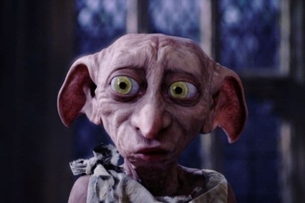 Harry Potter fans force relocation of undersea power line to spare Dobby's grave