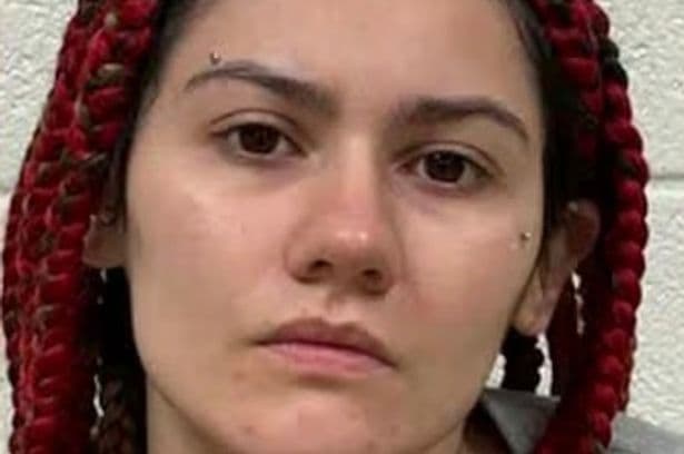 Female 'killer' made 'chilling four-word Google search hours before woodland execution'