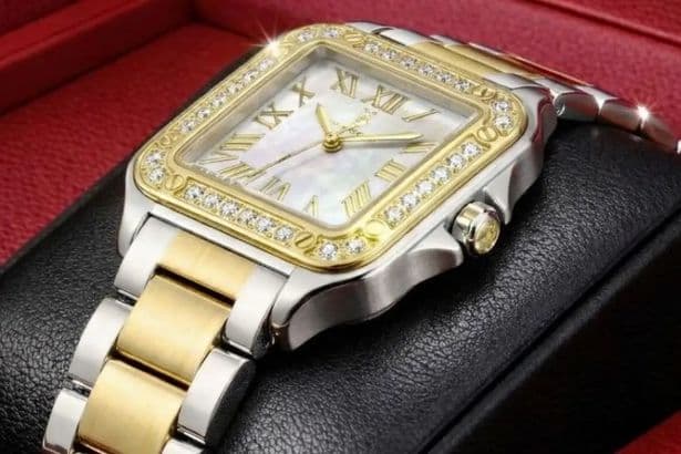 Last chance to get 'beautiful' £1.5k Von Breyer watches under £200