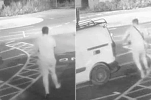 Dog found dead inside burning vehicle at McDonald's car park as man arrested