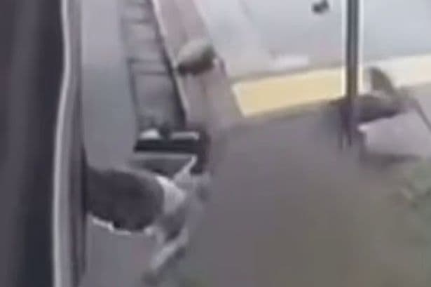 Horrifying moment toddler is dragged along street after getting caught in bus doors