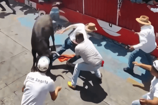 Two die in Mexican bull-running bloodbath as 21 beasts released on city streets