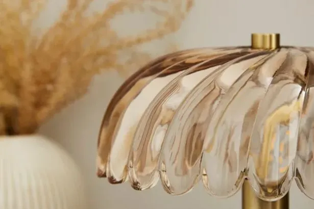 'Retro and elegant' Dunelm table lamp gives 'gorgeous' glow for autumn evenings