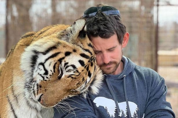 Tiger kills handler as horrified tourists and his family watched