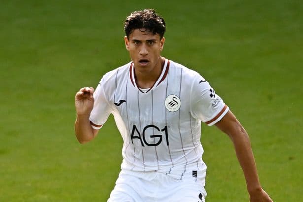 Swansea City player ratings as World Cup star looks sharp and youngster shines