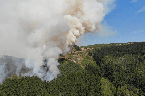 Firefighter describes seeing flames as high as trees in battle to save houses