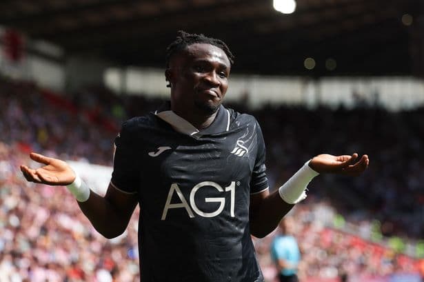 Swansea City player ratings on opening day as two stand out in win over Stoke