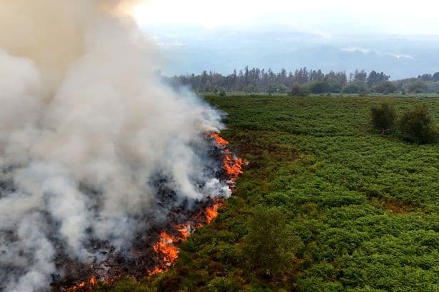 One part of Wales had fourth-highest carbon emissions in the world during wildfires