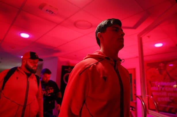 Wales handed huge autumn boost and Rees-Zammit sends out clear message