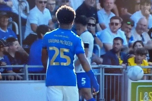 Portsmouth v Cardiff City match halted as Krystian Bielik involved in incident with fan