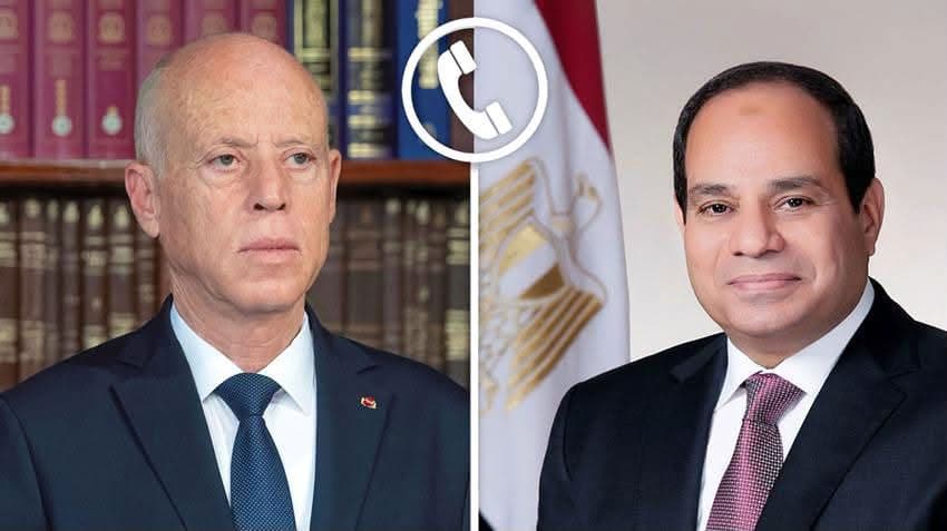Egypt, Tunisia leaders discuss regional tensions, strengthen bilateral ties