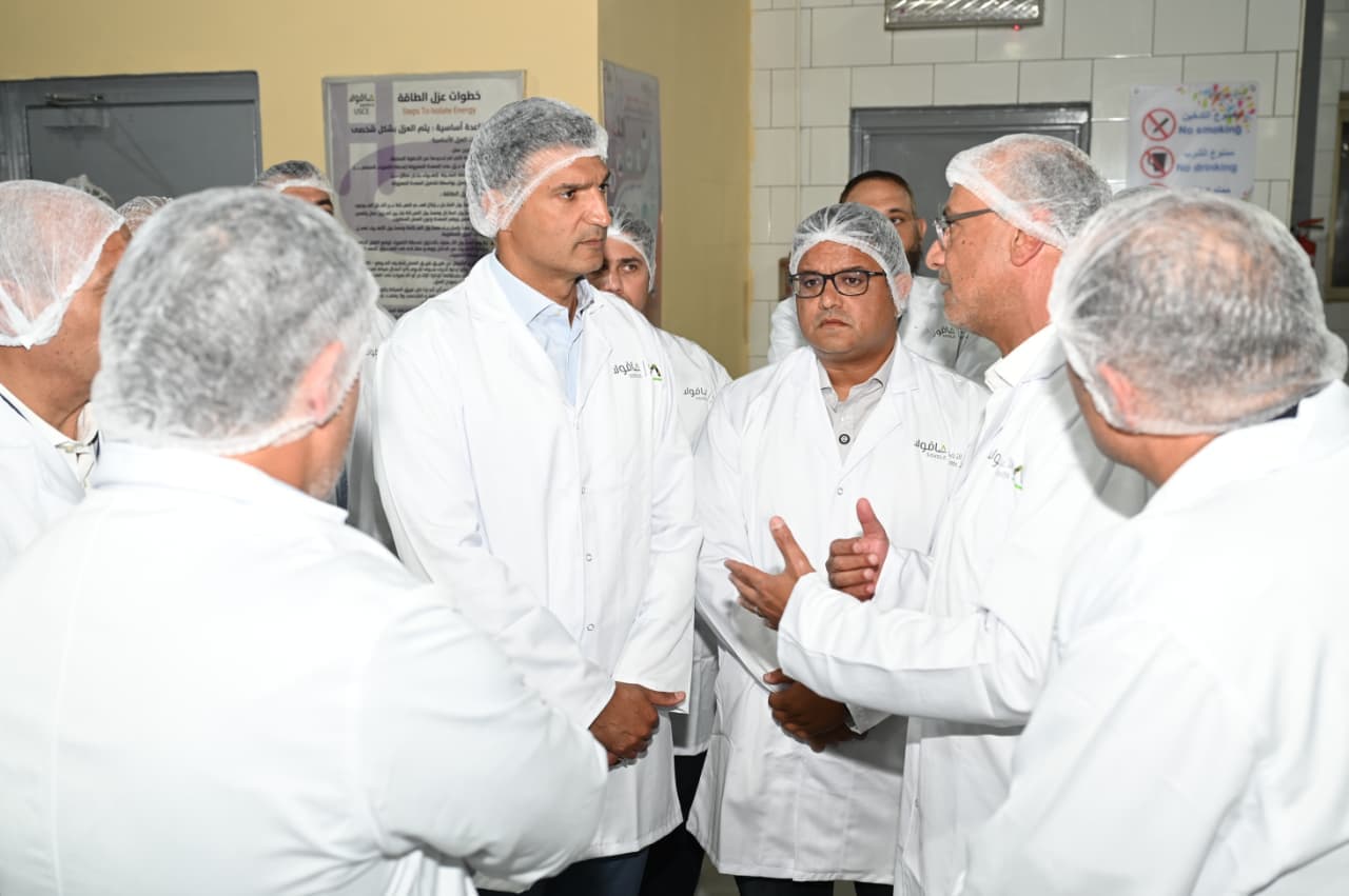 Egypt ranks among major global fertilizer producers, exporters: Industry minister