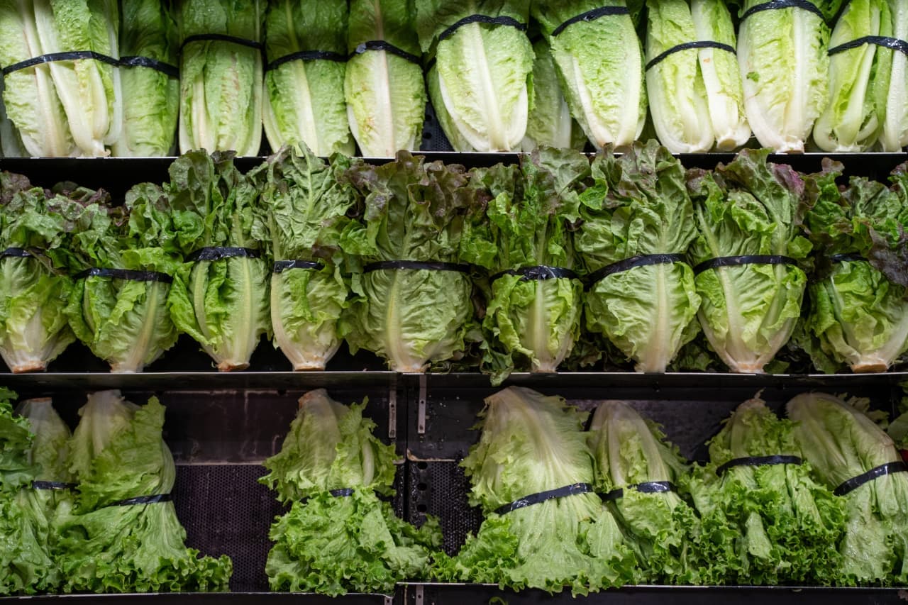 Cyclospora outbreak is linked to two deaths in Michigan as case counts continue to rise